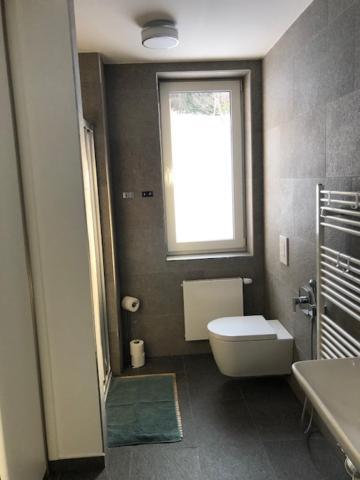 Apartmán U lomu Dolní Morava Kültér fotó
